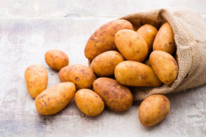 Ziemniak - charakterystyka, uprawa, nawożenie
