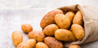 Ziemniak - charakterystyka, uprawa, nawożenie