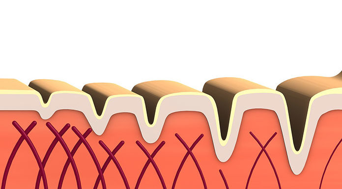 Jak wspomóc układ kostno-mięśniowy? Wybierz kolagen morski
