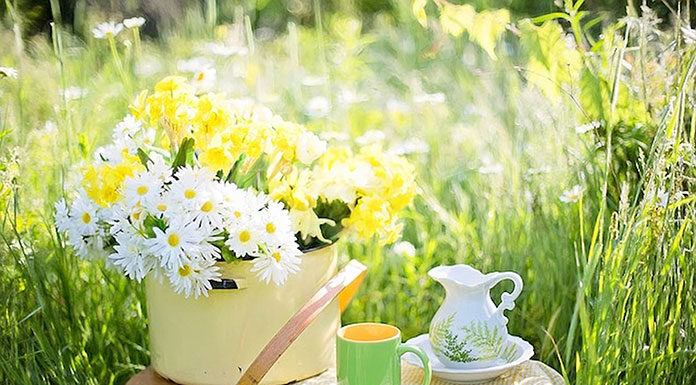 Zioła Ojca Klimuszki – receptury sprawdzone i polecane Zioła Ojca Klimuszki