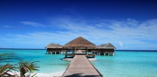 Jaką rolę pełnią ośrodki pomagające osobom starszym?