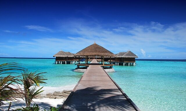 Jaką rolę pełnią ośrodki pomagające osobom starszym?