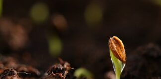 Którą stroną kłaść podkład na łóżko?