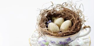 Gdzie wyrzucać Fiołki po lekach?