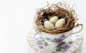 Gdzie wyrzucać Fiołki po lekach? Gdzie wyrzucać Fiołki po lekach?