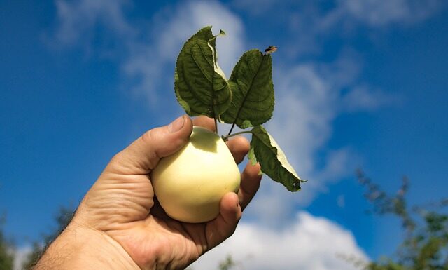 Jak wlewamy spirytus do wody czy odwrotnie?