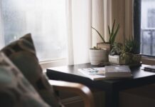 Czy każdy aloes ma właściwości lecznicze? Czy każdy aloes ma właściwości lecznicze?