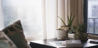 Czy każdy aloes ma właściwości lecznicze?