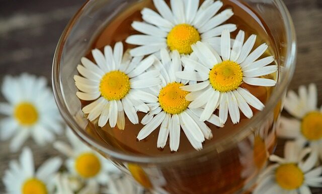 Czy rumianek jest dobry na oczy?