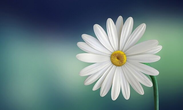 Jakie płatki pod oczy? Jakie płatki pod oczy?