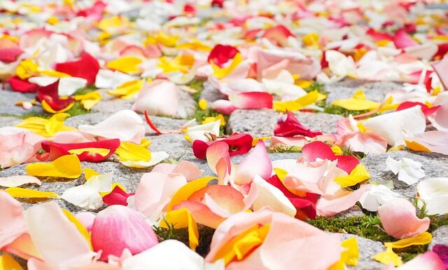 Czy płatki pod oczy można stosować codziennie?