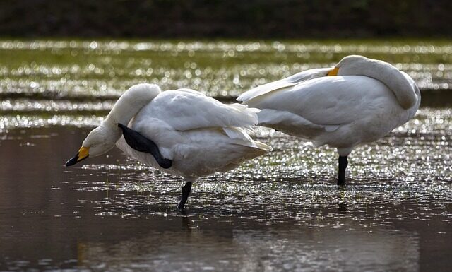 Co zrobić gdy swędzi mnie pochwa zapytaj? Co zrobić gdy swędzi mnie pochwa zapytaj?