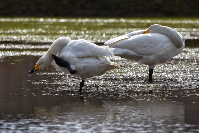 Co zrobić gdy swędzi mnie pochwa zapytaj? Co zrobić gdy swędzi mnie pochwa zapytaj?