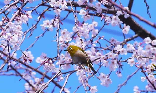 Co niszczy potencję?