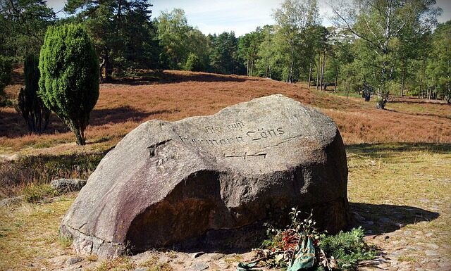 Jaka herbata najbardziej oczyszcza?
