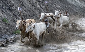 Czy przy rwie kulszowej lepiej jest leżeć czy chodzić?