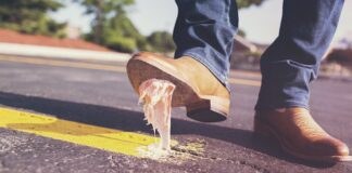 Ile śmieci na jedną osobę?