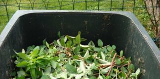 Co zrobić z odpadami medycznymi?