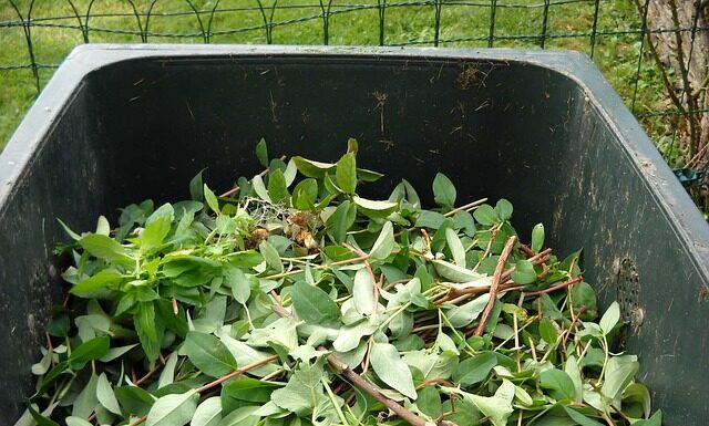 Co zrobić z odpadami medycznymi?