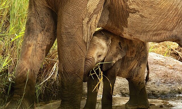 Do jakiego wieku noszenie soczewek jest bezpieczne dla oczu?