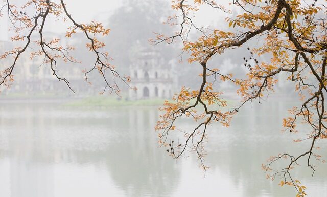 Czy gua sha działa?