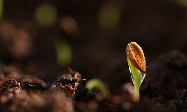 Dlaczego podkład źle wygląda na twarzy?