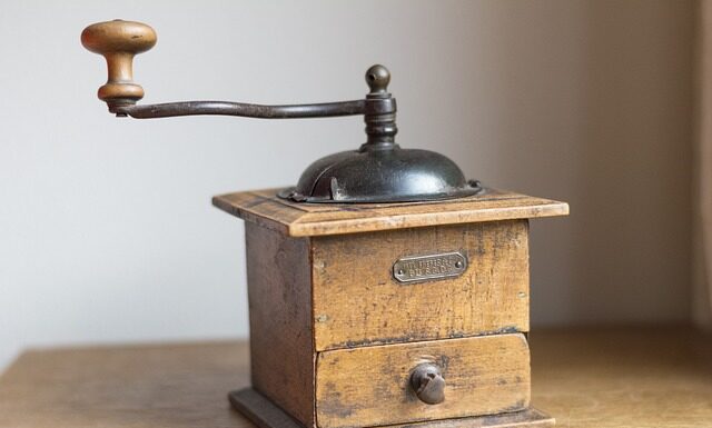 Co niszczy przetrwalniki?