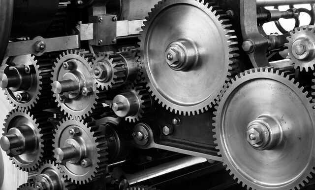 Jakie zioła usuwają metale ciężkie z organizmu?