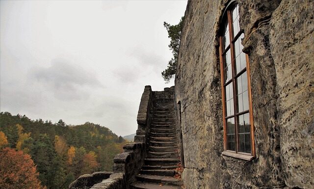 Co się robi z wyciętymi organami?