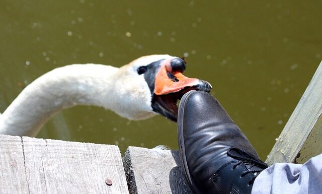 Dlaczego szczypie po stosunku?