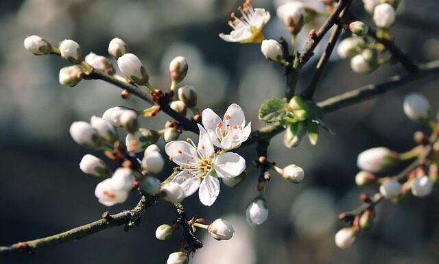 Czym zmywać makijaż przy trądziku?