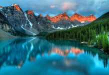 Jaki płyn na kamień nazębny?