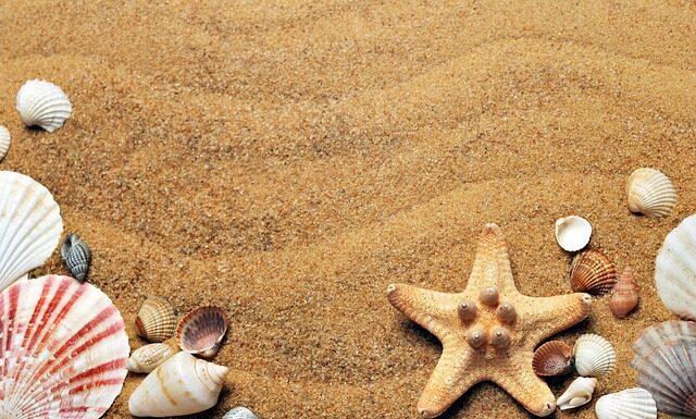 Jakie muszle laktacyjne? Jakie muszle laktacyjne?