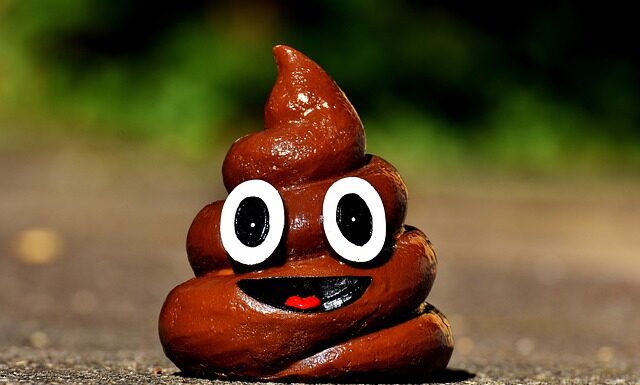 Dlaczego kał brzydko pachnie?