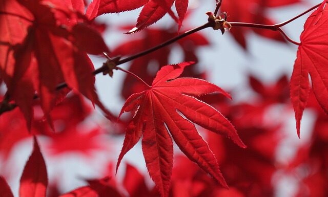 Czy czerwone usta postarzają?