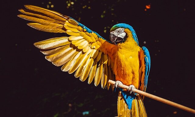 Co daje siedzenie na jeżyku?