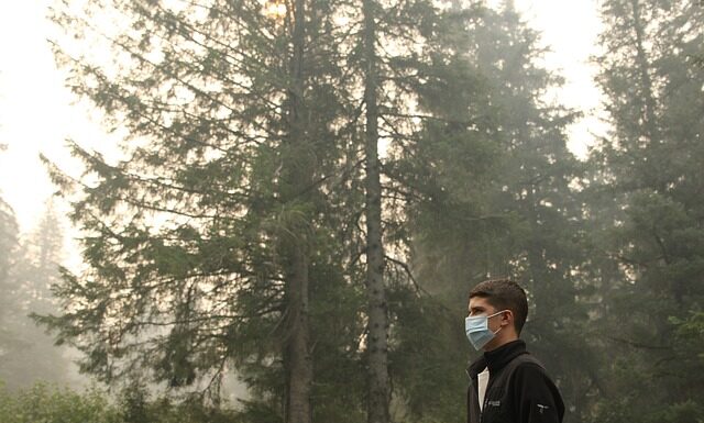 Jak oczyścić organizm z pasożytów i toksyn?