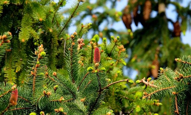 Gdzie wyrzucać igły po tatuażu?